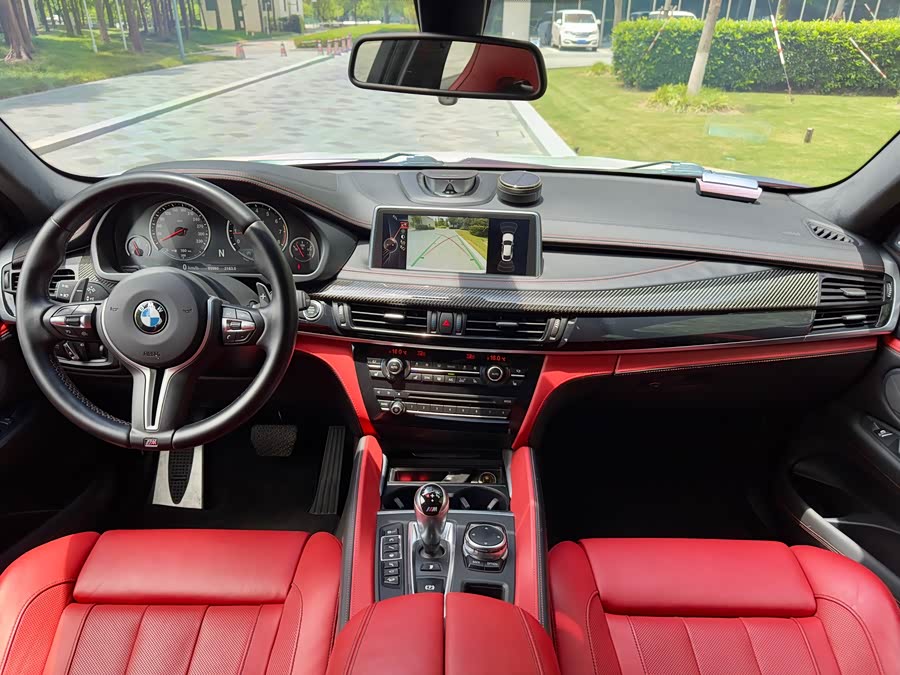 BMW X6 M 2017 car image #17