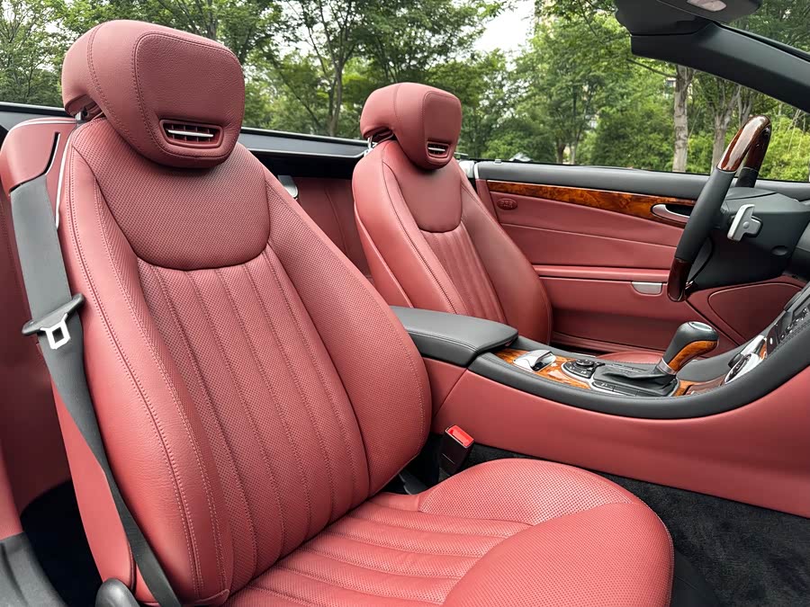 Mercedes-Benz SL Class 2009 car image #17