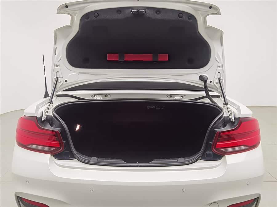 BMW 2 Series (Imported) 2018 immagine di auto #17