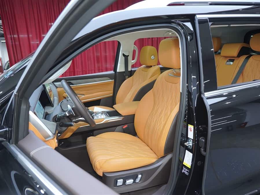 Tank 500 New Energy 2023 car image #17