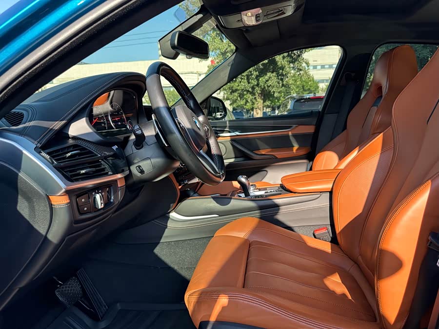 BMW X6 M 2016 #17 BMW X6 M 2016 car image #17