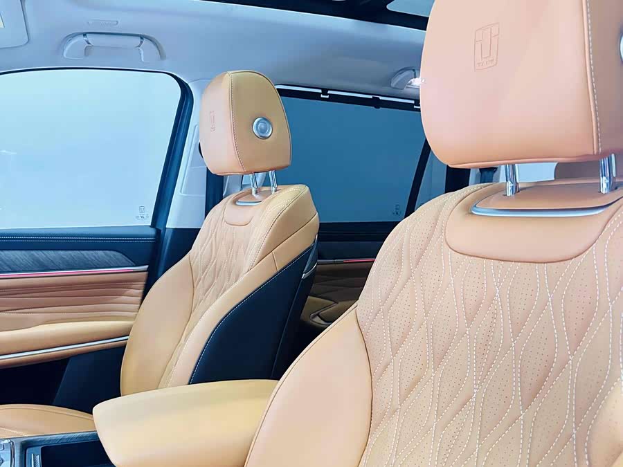 Tank 500 New Energy 2024 car image #17