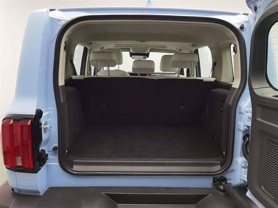 Tank 300 New Energy 2024 car image #17