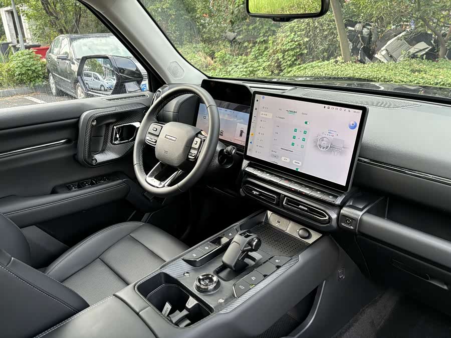 Haval X Dog 2 New Energy 2024 car image #17