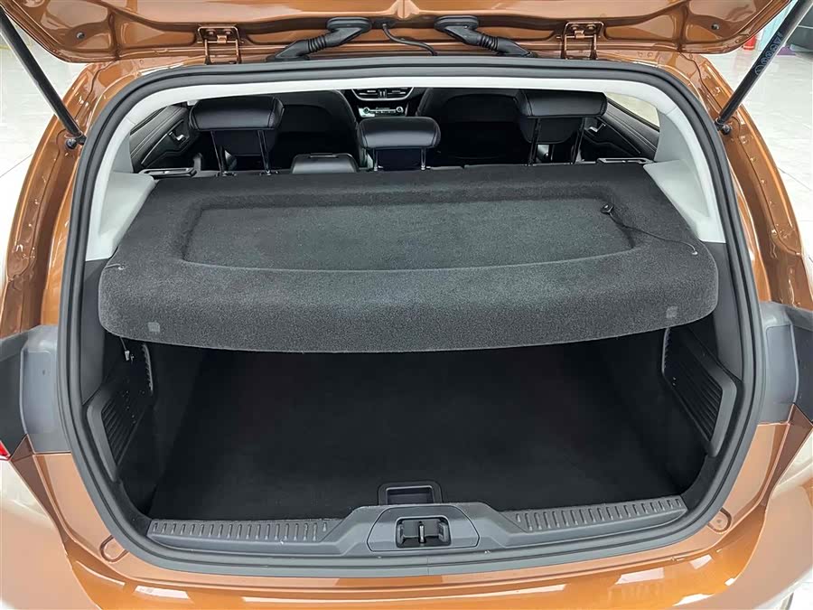 Ford Focus Active 2021 car image #17