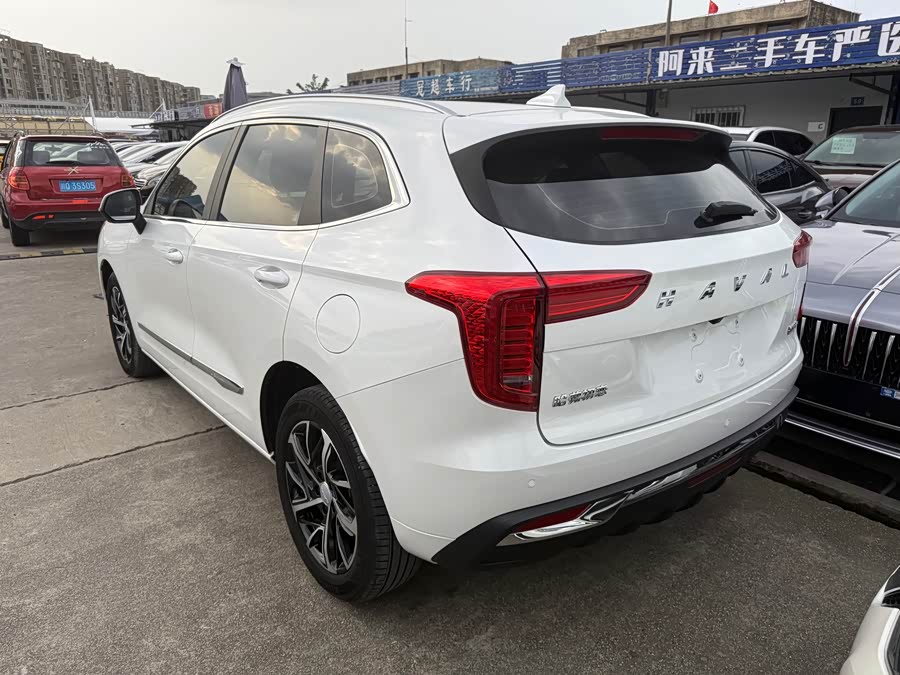 Haval Jolion 2020 car image #17