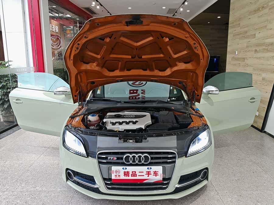 Audi TTS 2013 #17 Audi TTS 2013 car image #17