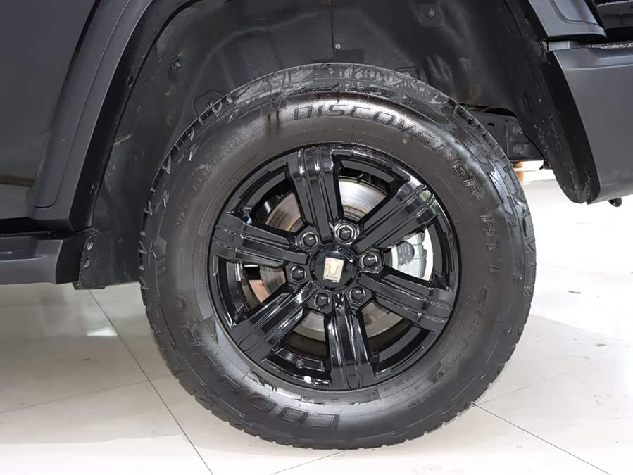 坦克 坦克300 2022 汽车图片 #17