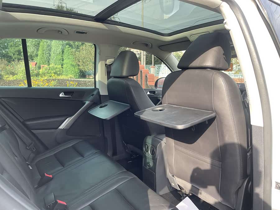 大众 Tiguan 2009 #17 大众 Tiguan 2009 汽车图片 #17