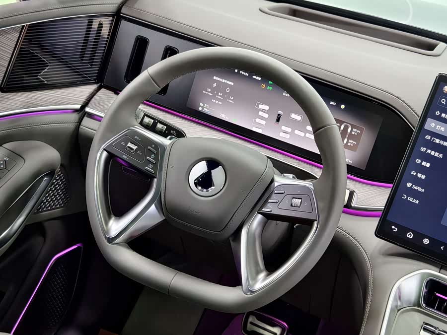 Denza N9 2025 car image #17