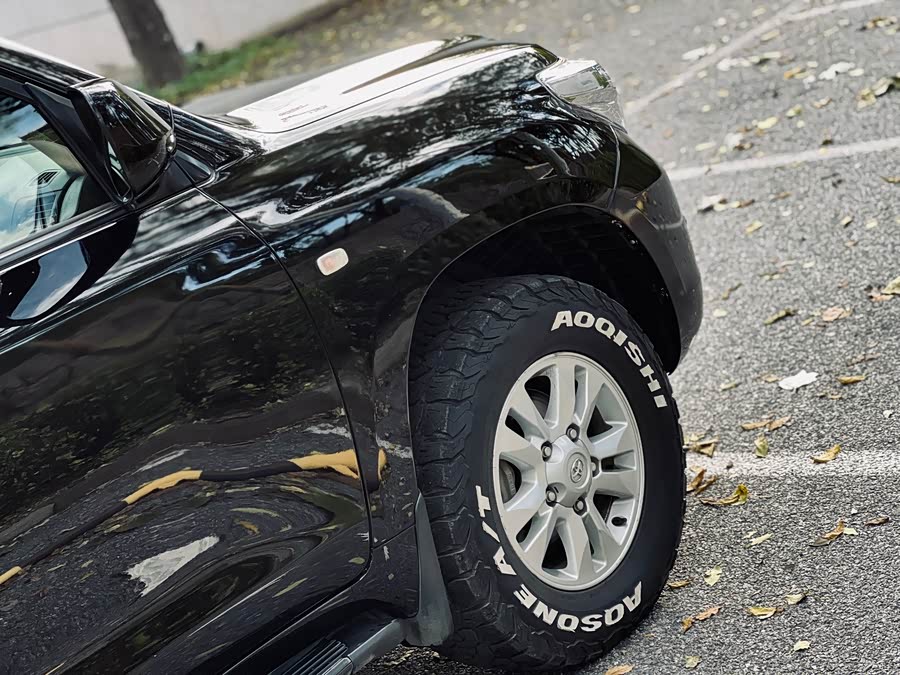 丰田 兰德酷路泽 2010 汽车图片 #17