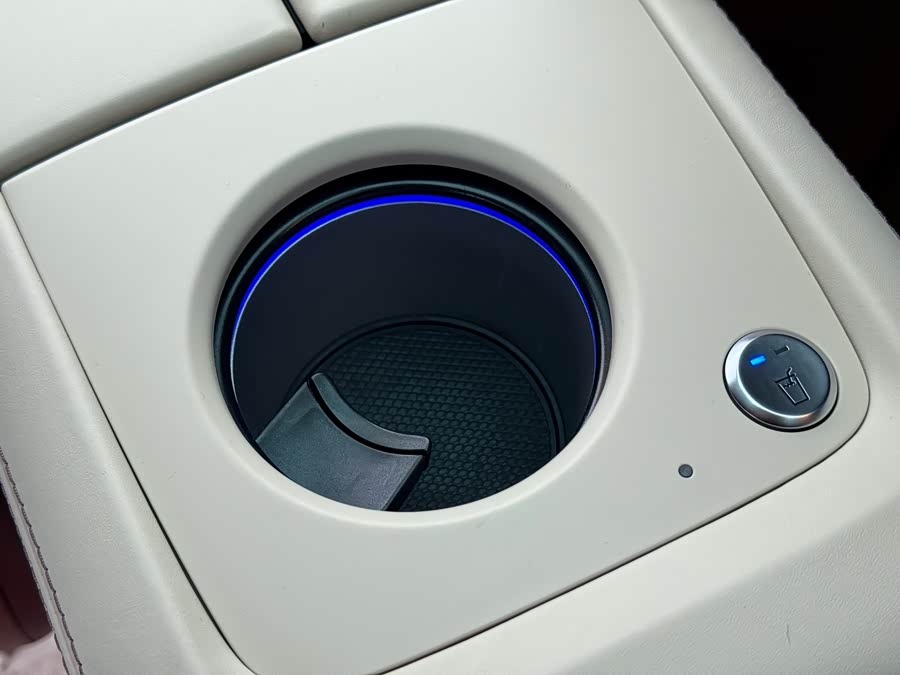 Mercedes-Benz Maybach GLS 2021 car image #17