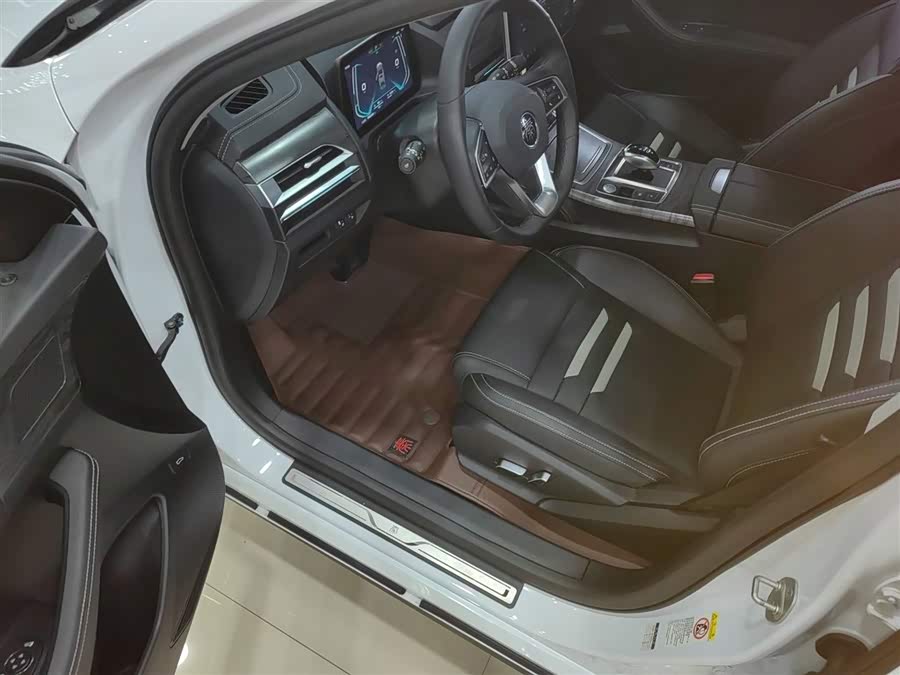 BYD Qin Pro New Energy 2019 car image #17