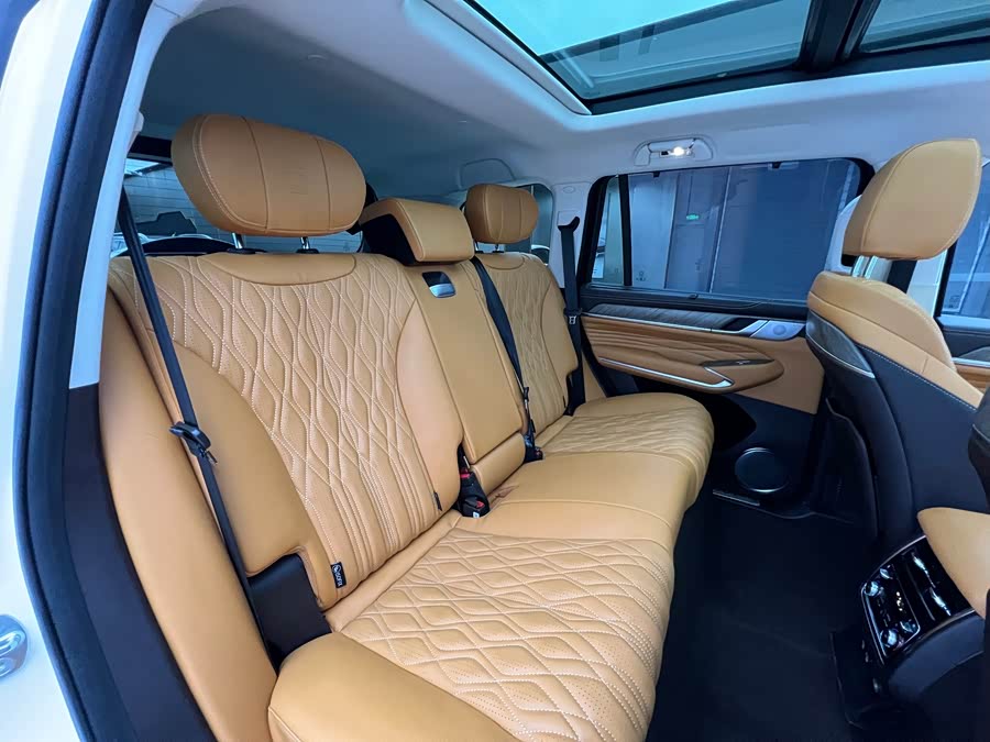 Tank 500 New Energy 2023 immagine di auto #17