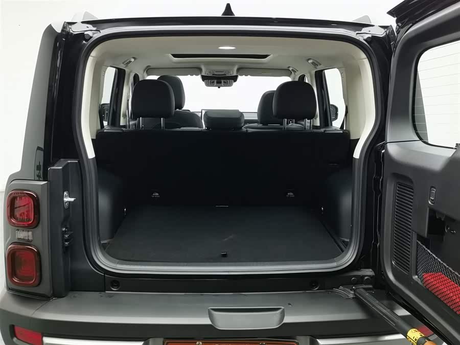 Haval Raptor New Energy 2024 #17 Haval Raptor New Energy 2024 car image #17