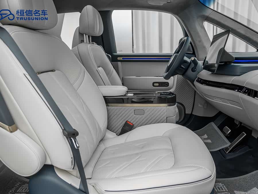 极氪 极氪MIX 2024 汽车图片 #17