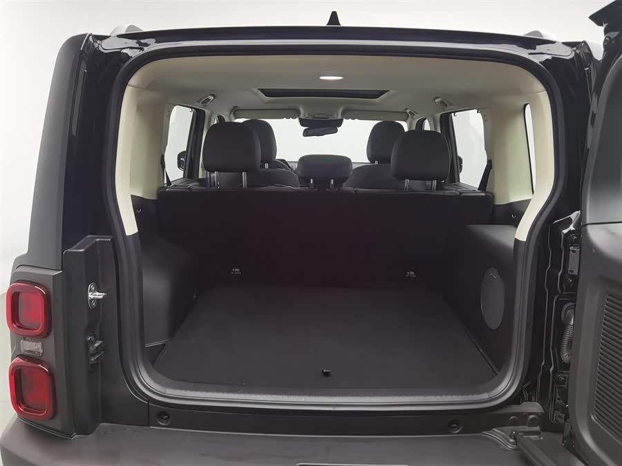 Haval Raptor New Energy 2024 car image #17