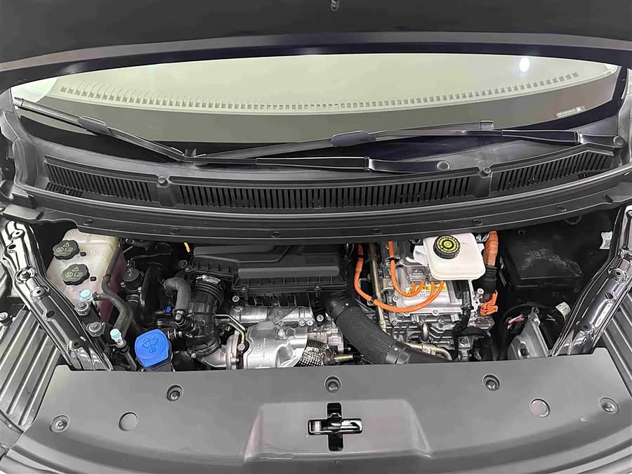 Denza D9 2023 imagem de carro #17