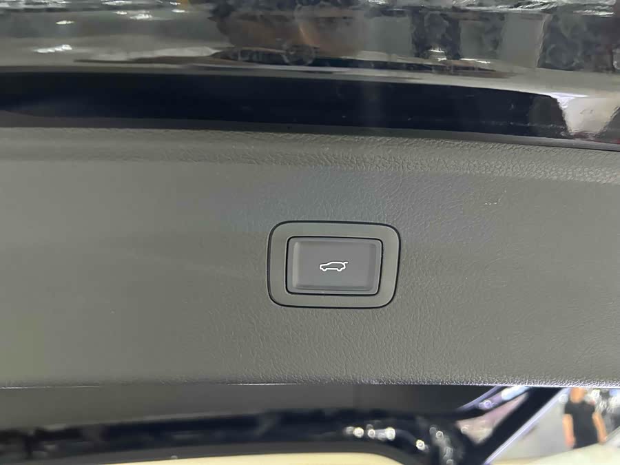 HongQi HS7 PHEV 2024 car image #17