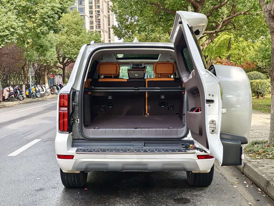 Tank 300 2021 car image #17