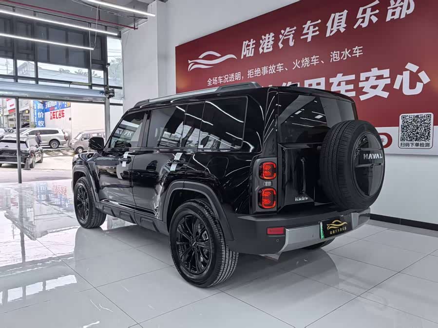 Haval Raptor New Energy 2024 #17 Haval Raptor New Energy 2024 car image #17