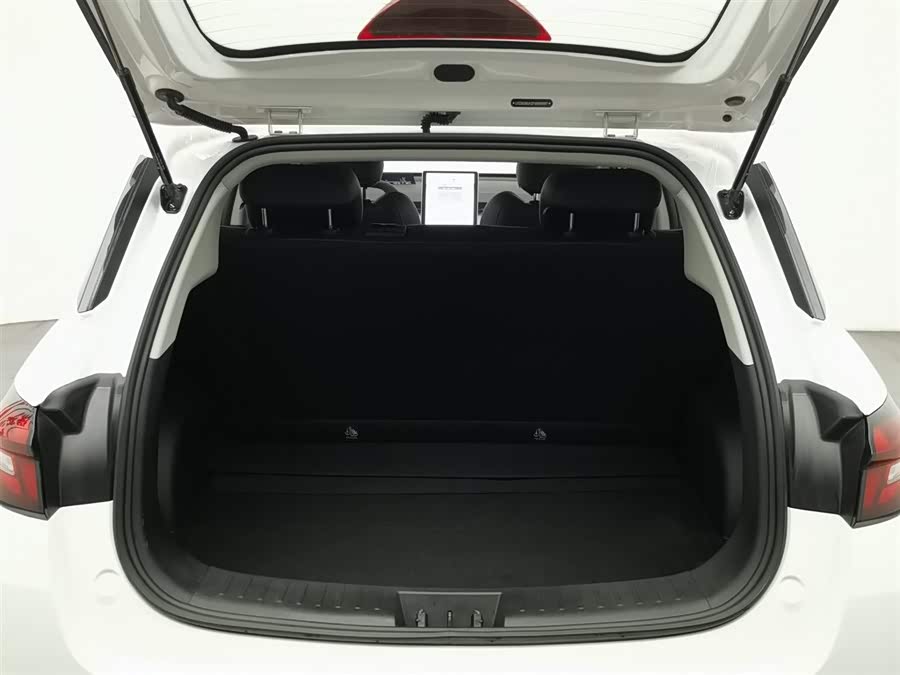 Neta AYA 2024 #17 Neta AYA 2024 صورة سيارة #17