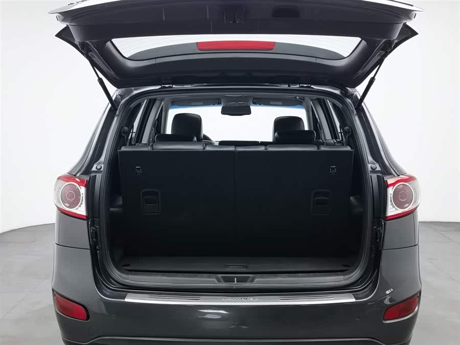 Hyundai Santa Fe Classic 2010 car image #17