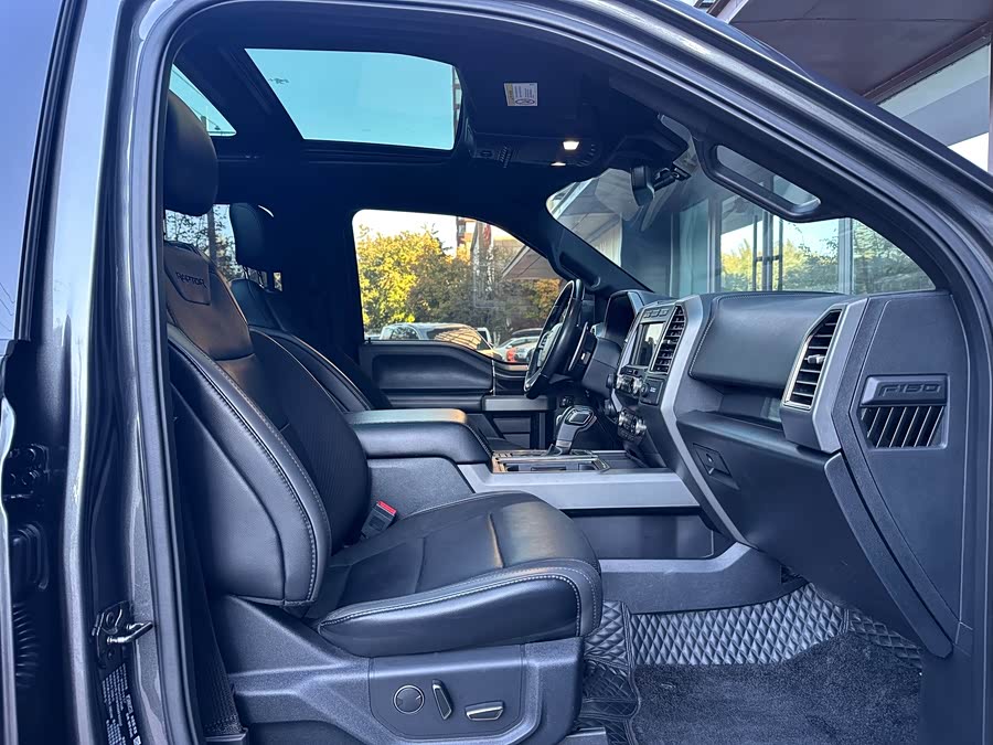 Ford F-150 Raptor 2019 car image #17