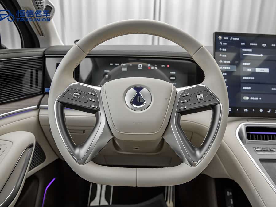 Denza N9 2025 car image #17