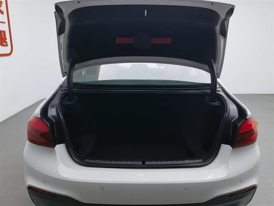 BMW 5 Series (Imported) 2018 car image #17