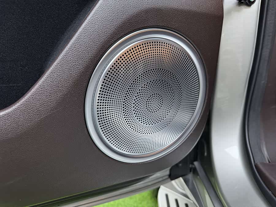 Tank 500 New Energy 2025 immagine di auto #17