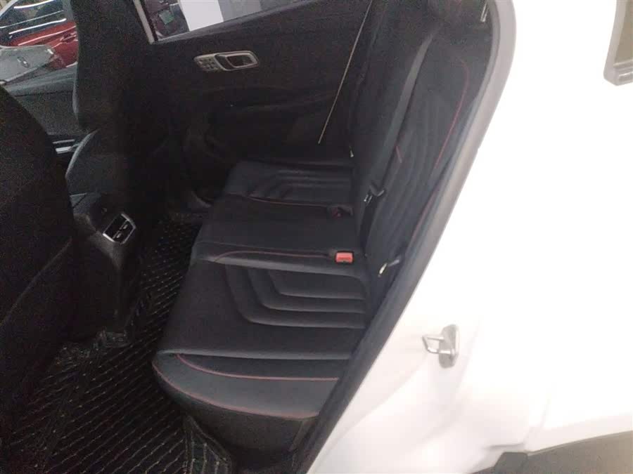 Neta X 2024 imagem de carro #17