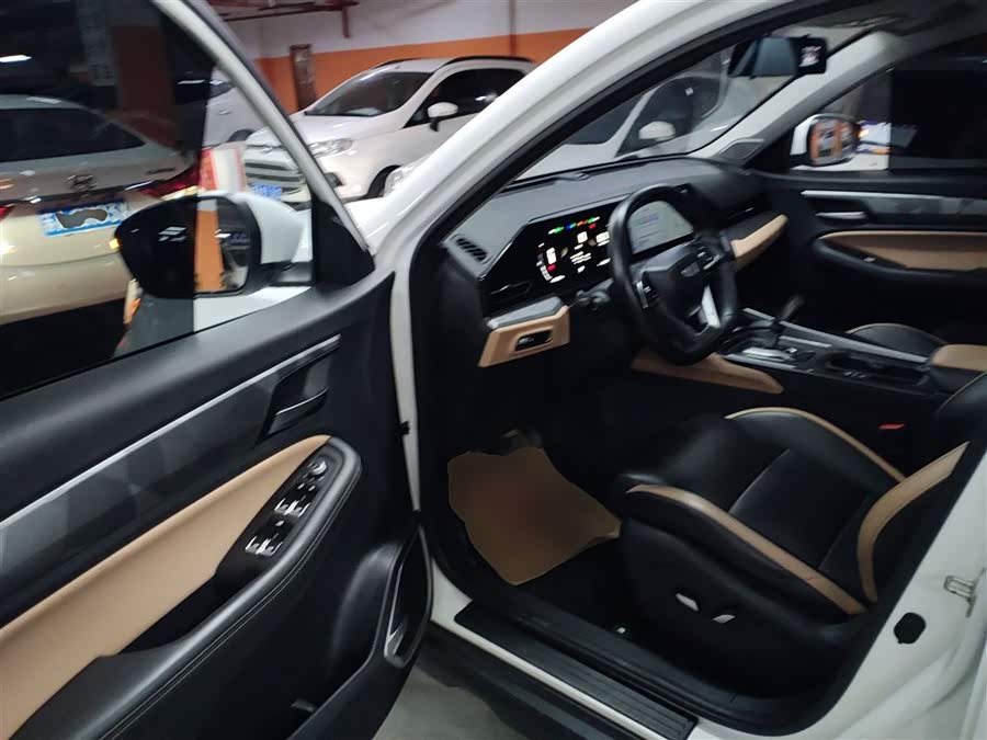 GEELY OkavangoPRO 2024 immagine di auto #17