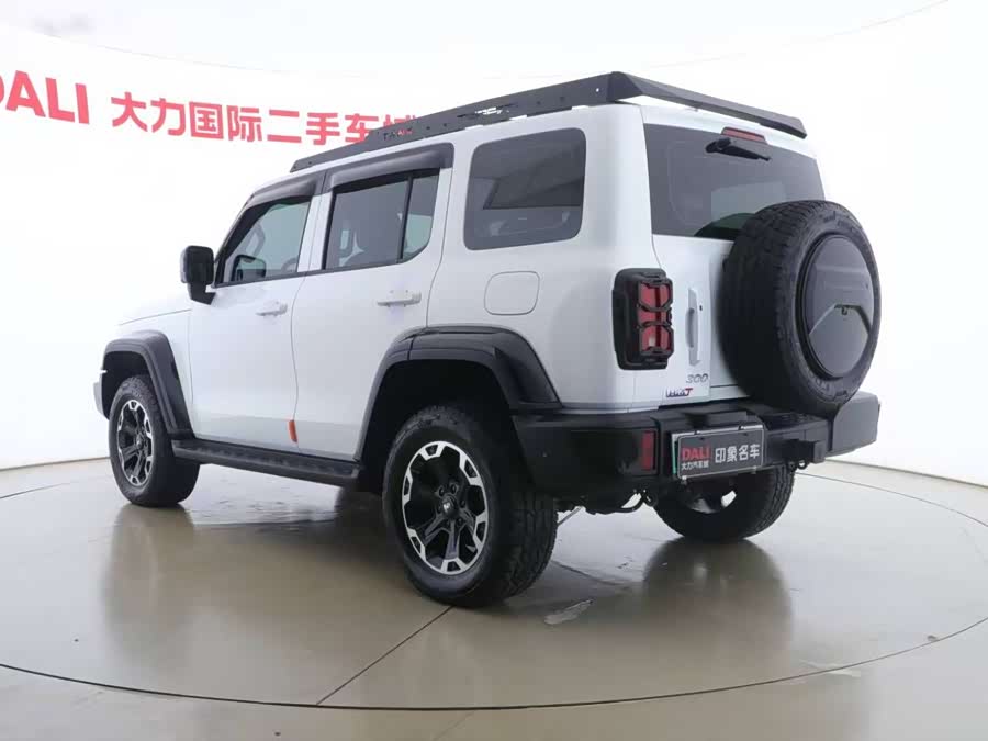 Tank 300 New Energy 2024 #17 Tank 300 New Energy 2024 immagine di auto #17