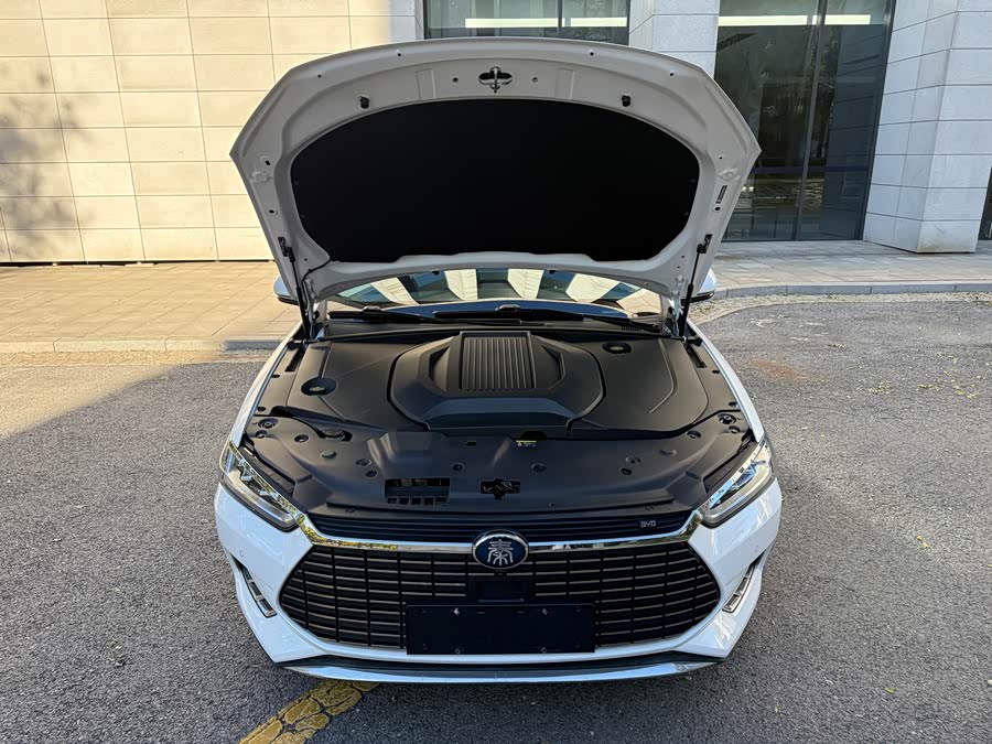 BYD Qin Pro New Energy 2018 car image #17