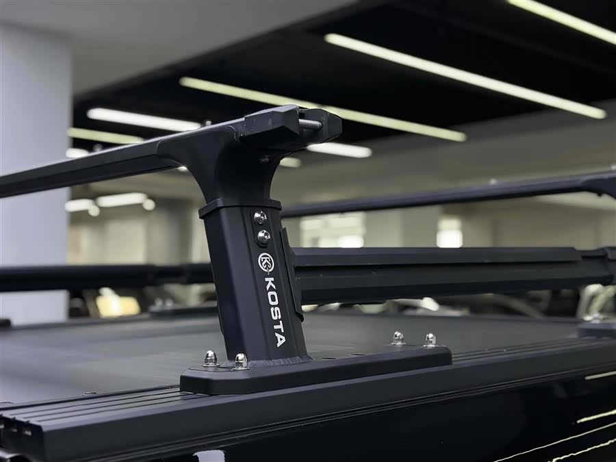 Great Wall Shanhai Pao 2024 car image #17