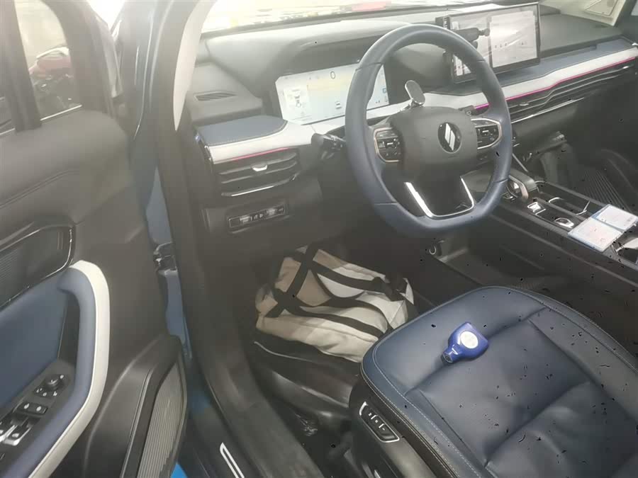 睿蓝汽车 睿蓝9 2024 汽车图片 #17