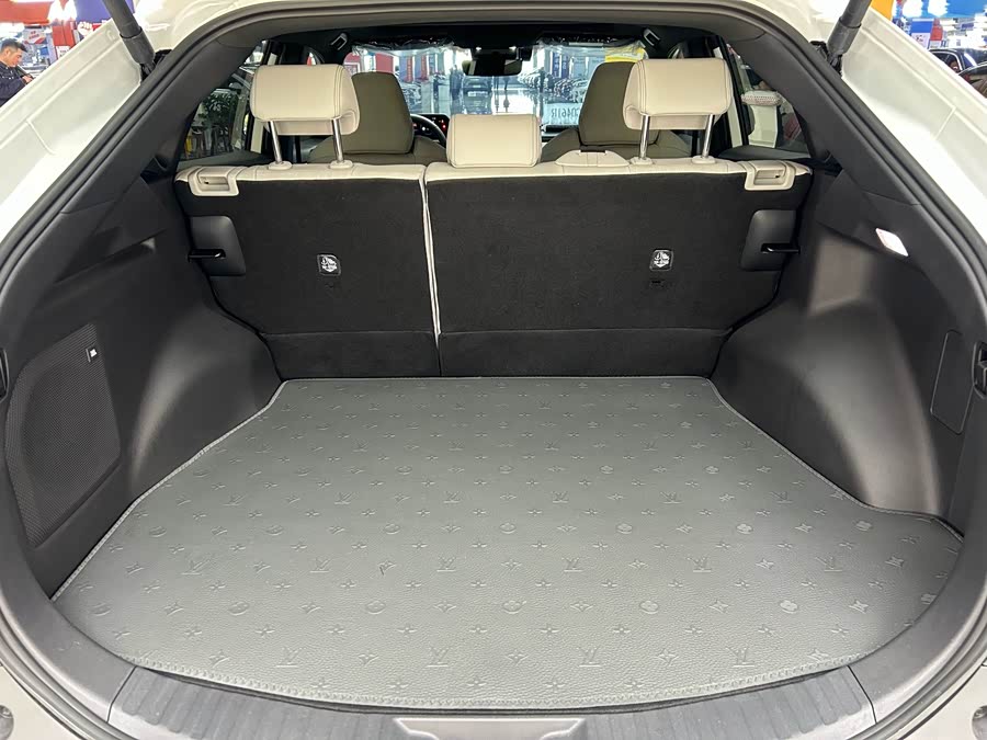 丰田 铂智4X 2025 #17 丰田 铂智4X 2025 汽车图片 #17