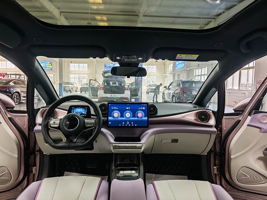 比亚迪 海豚 2022 汽车图片 #17