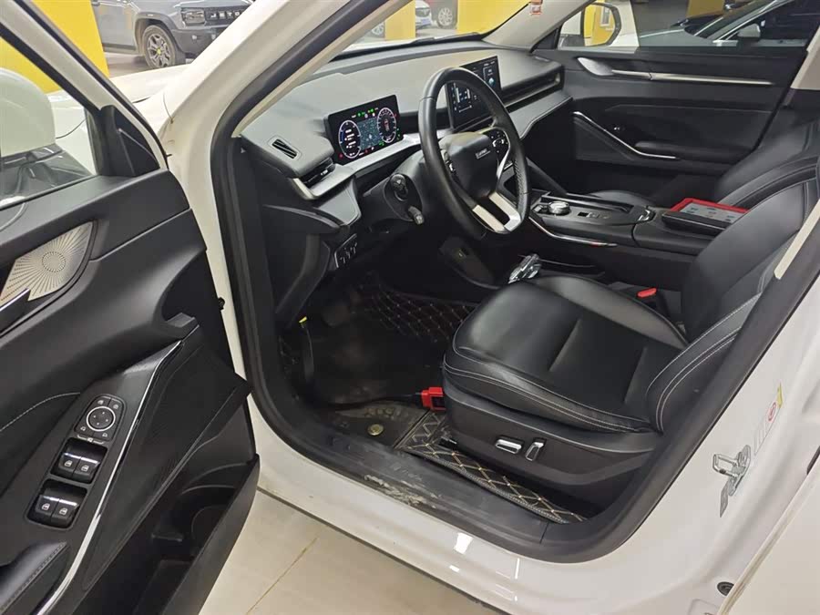 Haval H6 2022 immagine di auto #17