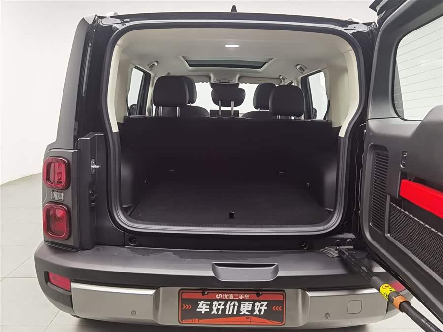 Haval Raptor New Energy 2023 car image #17