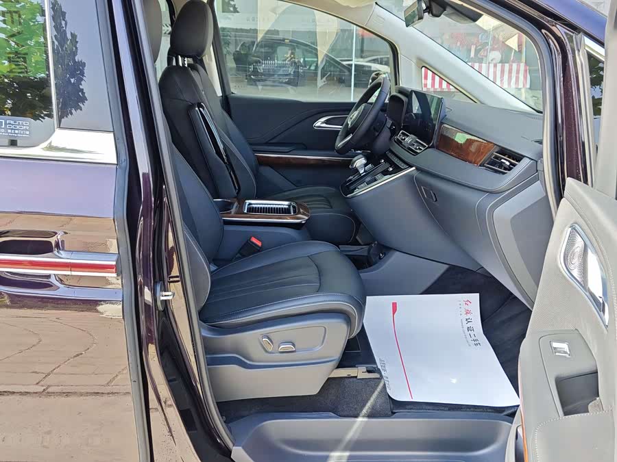 HongQi HQ9 2023 car image #17