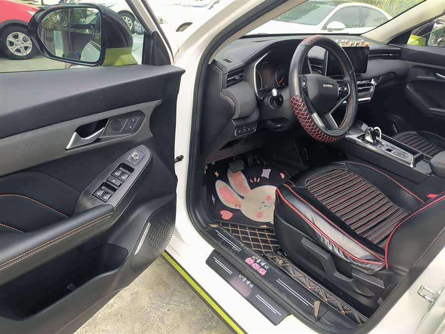 Haval Rabbit 2022 car image #17