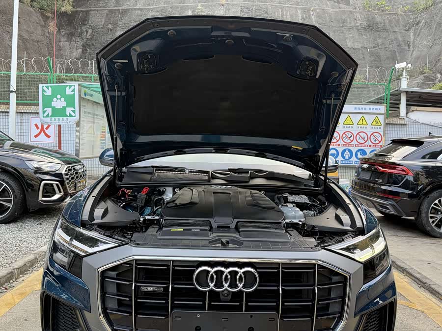 Audi Q8 2022 car image #17