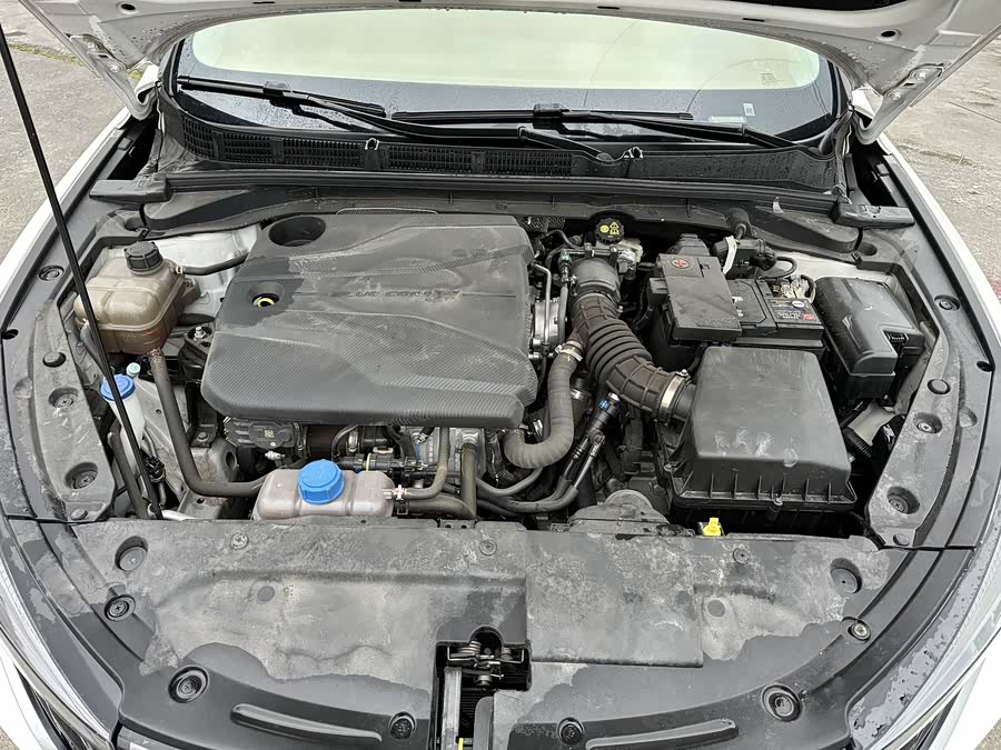 BYD 2022 car image #17