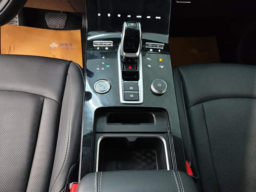 Chery Tiggo 8 Plus 2021 image de voiture #17
