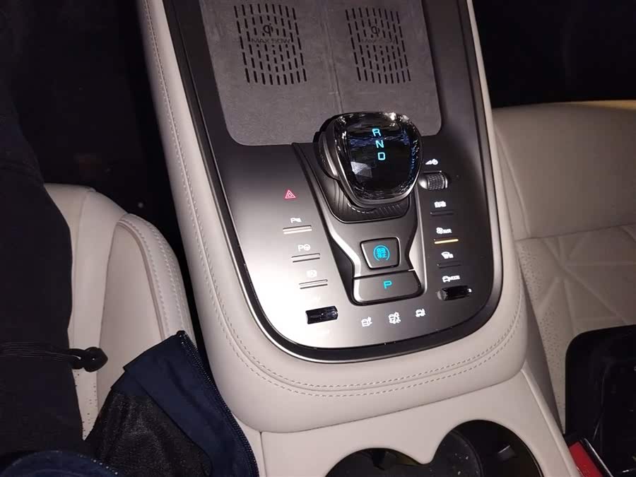 Denza N8 2023 #17 Denza N8 2023 car image #17