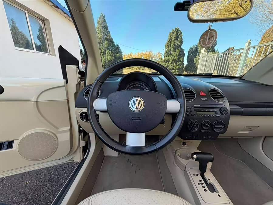 Volkswagen Beetle 2010 immagine di auto #17