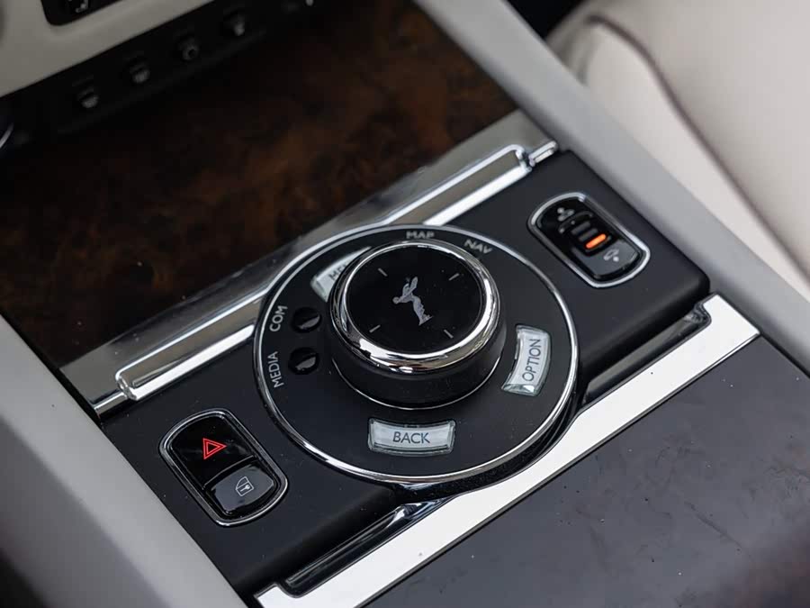 Denza Wraith 2018 immagine di auto #17