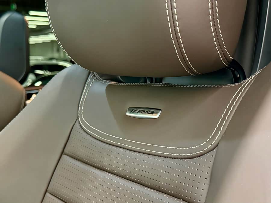 Mercedes-Benz GLS AMG 2019 car image #17